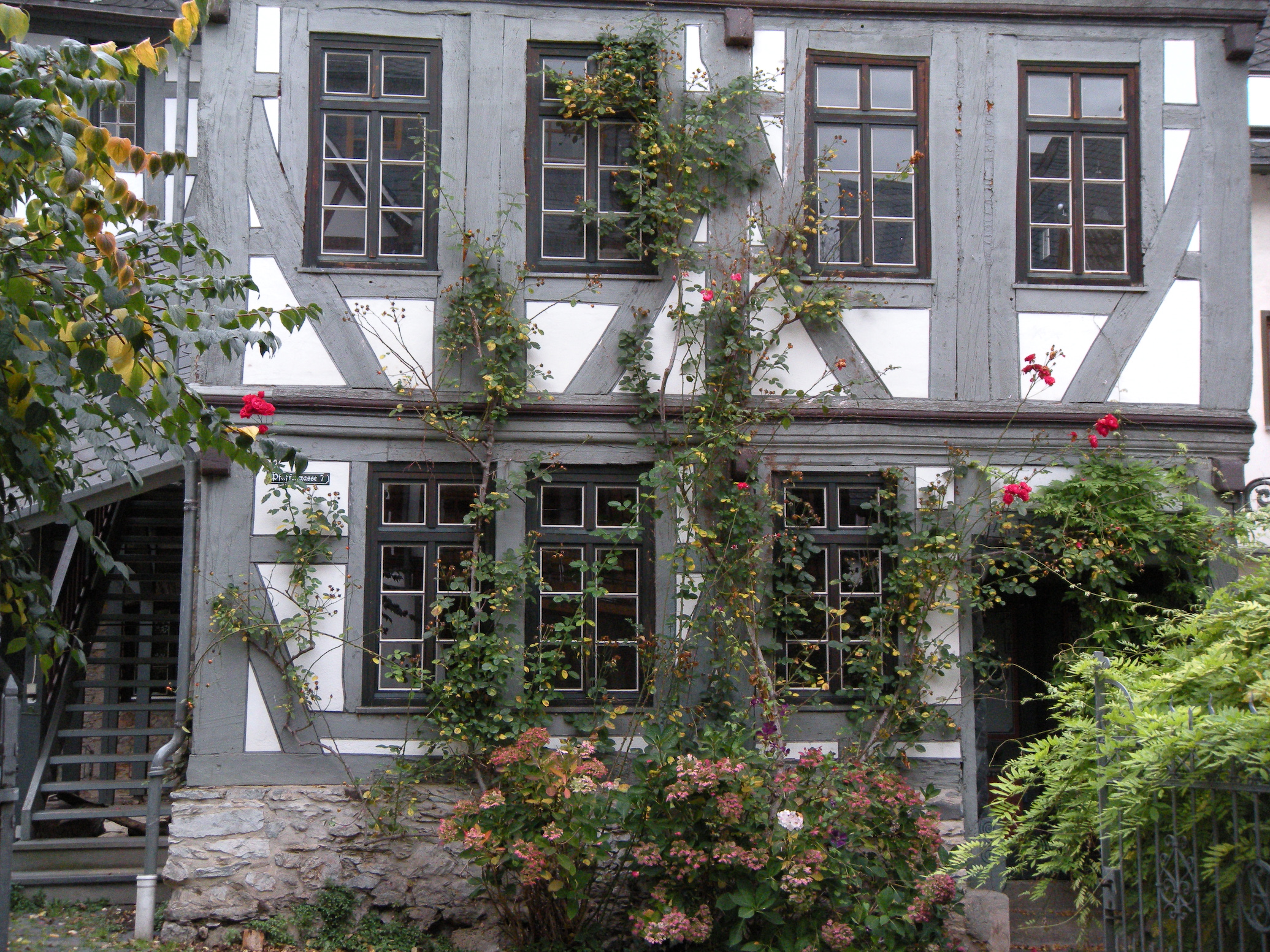 COOLPIX S60 - ISO 227, 1/60 Sek. bei f / 4,2, 55 mm